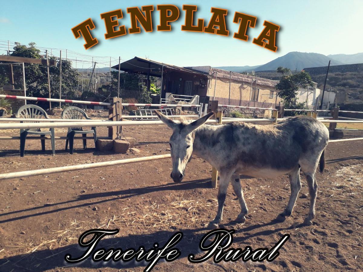 Tenplata Тихоко-де-Абахо Экстерьер фото